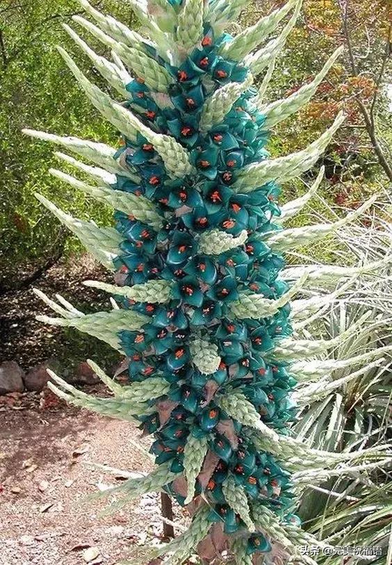 六一相册影集,六一照片专场