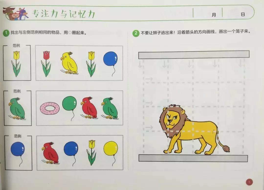 从几岁锻炼孩子的逻辑思维能力,从小培养孩子的大脑智能