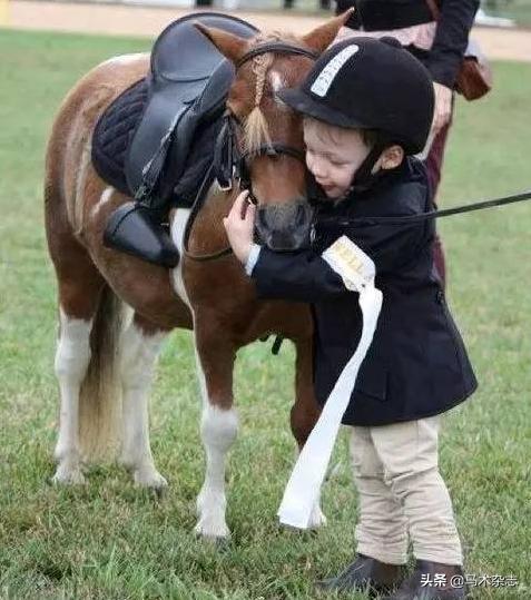 上马前你不得不知道的马术知识,上马前必备的马术知识
