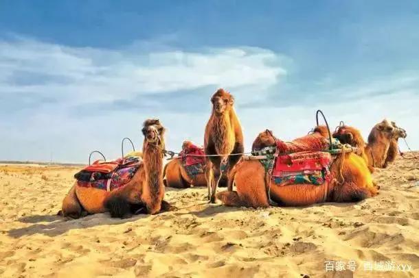 新疆最神秘景区,新疆十大神秘景点介绍视频