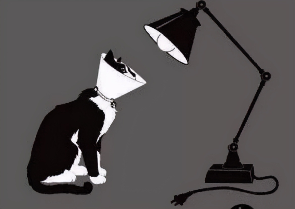 给猫戴上脖圈之后很低落,为什么给猫戴上猫圈就安静了
