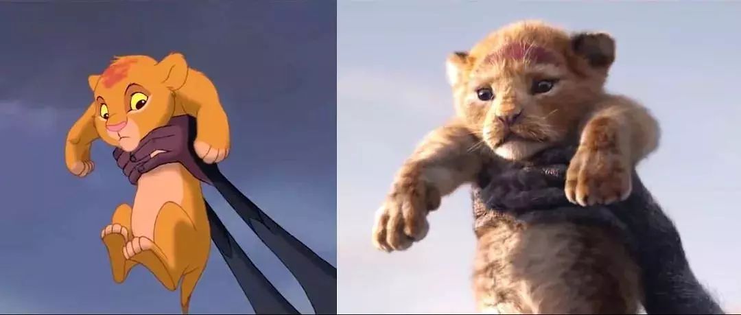 狮子王真兽版,狮子王真实版合集