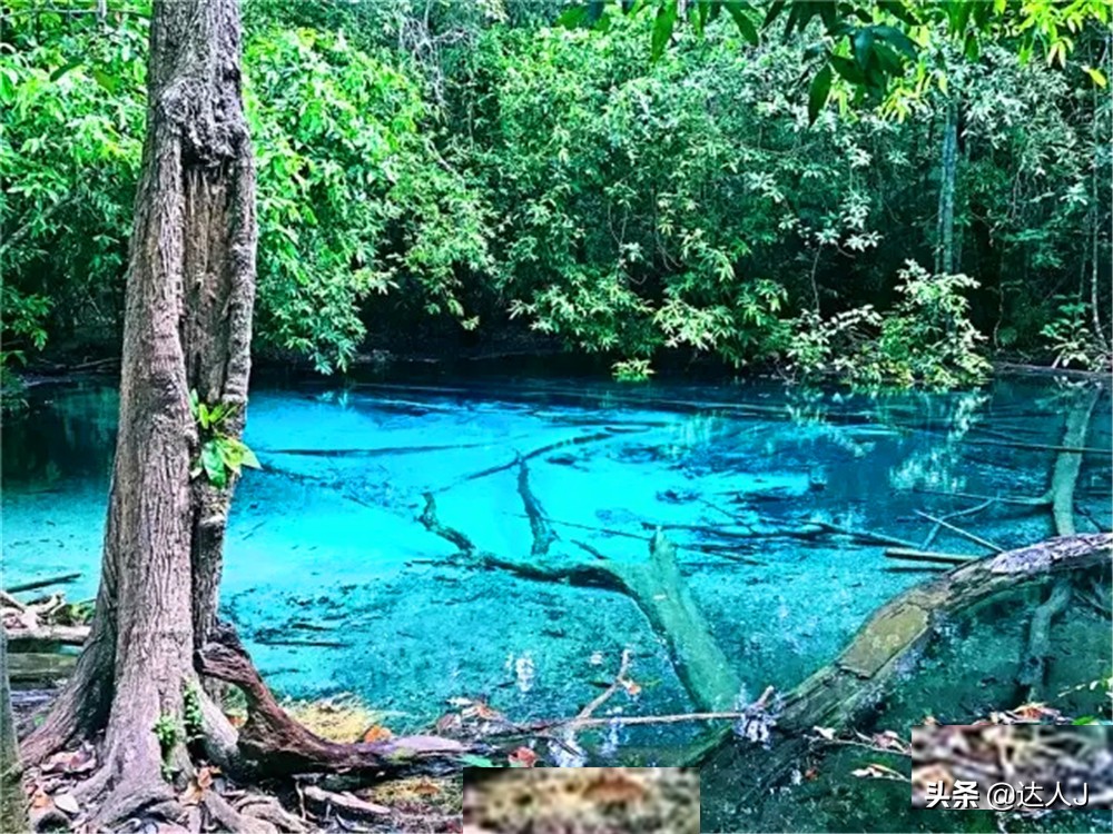 跟着小宇游日本,跟着小天玩游戏