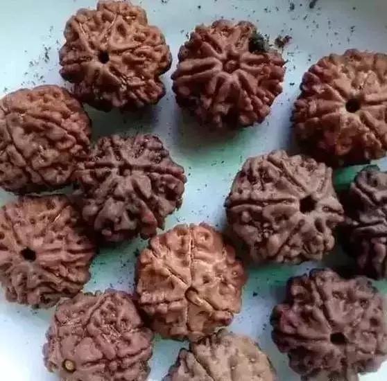 菩提手串掉色有毒吗,菩提手串生虫