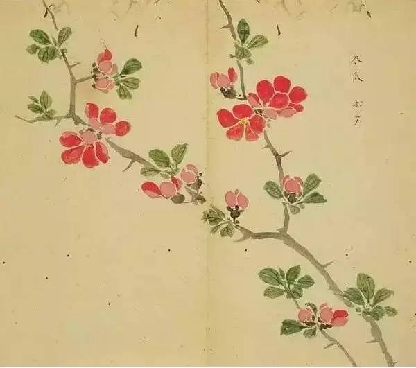 惊艳千年的古诗词合集,五千年来最美的20首诗