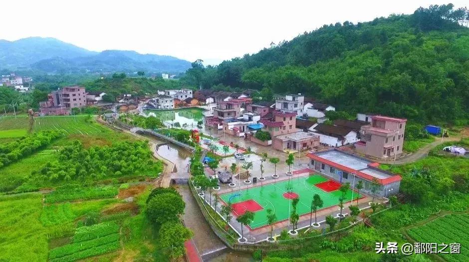 甯備簳椋庢儏杩樻槸甯備簳椋庡厜,甯備簳姘旀伅椋庢櫙