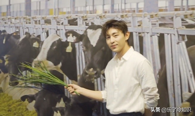 邓伦回石家庄参加活动，喜欢给自己“加戏”，石家庄之光