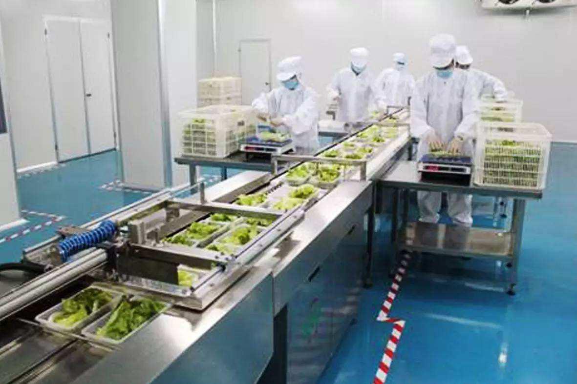 预制菜赛道可以入局了吗,预制菜投资逻辑