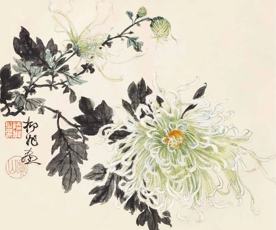 秋菊怎么画简单,秋菊花图片怎么画