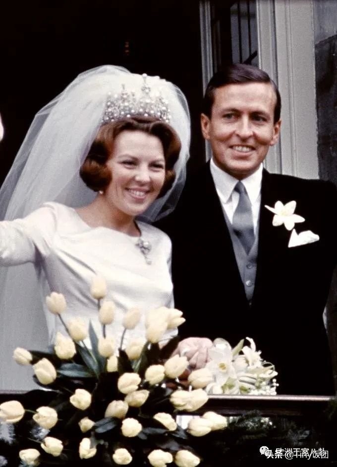 科普向-荷兰：活力有爱橙子国