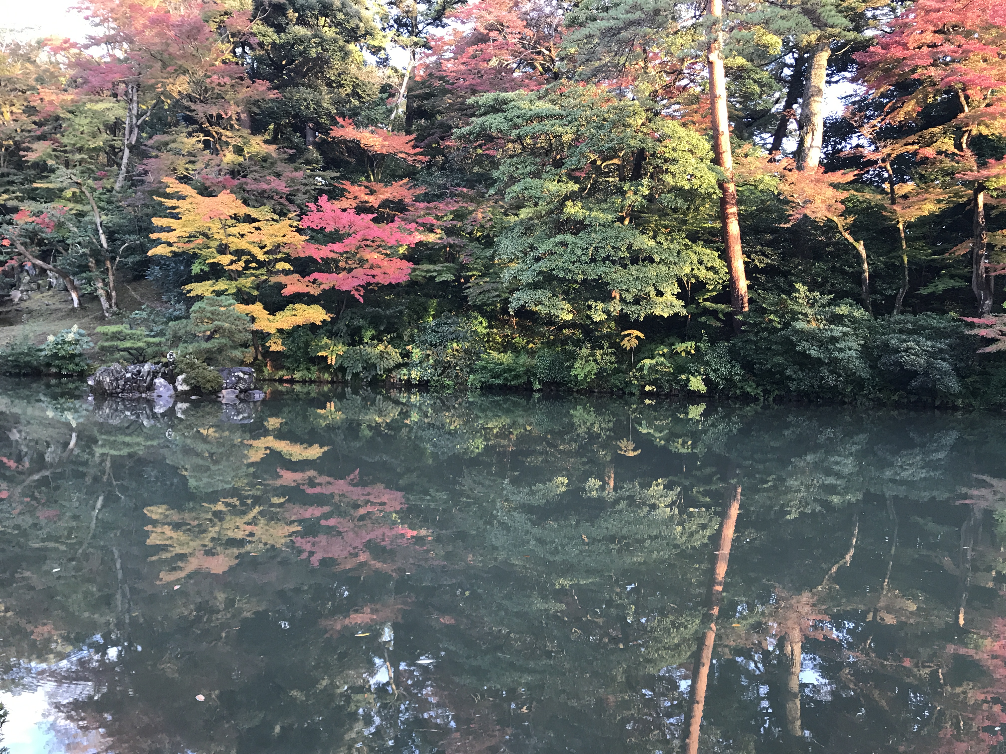 日本高山金泽旅游,日本青森赏枫旅游攻略