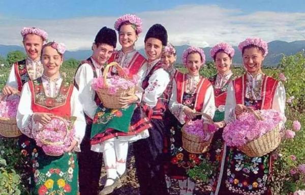 按摩精油的功效与作用,艾草精油的功效与作用