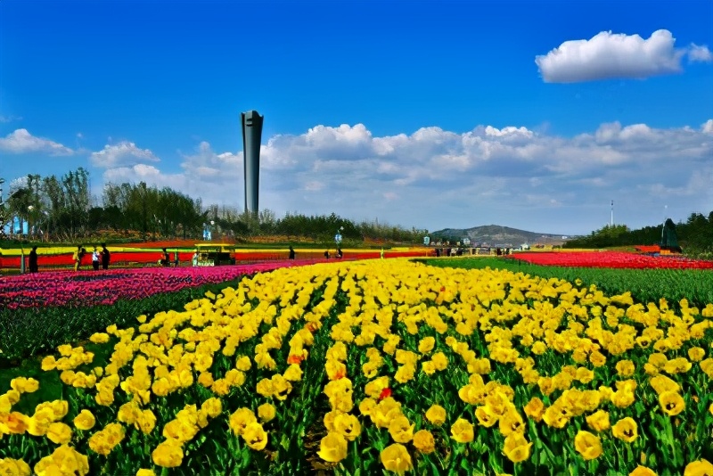 游锦州世博园,锦州世博园剧场