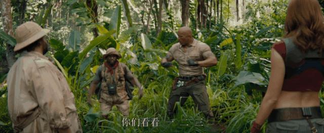 今年最燃电影,今年最劲爆电影