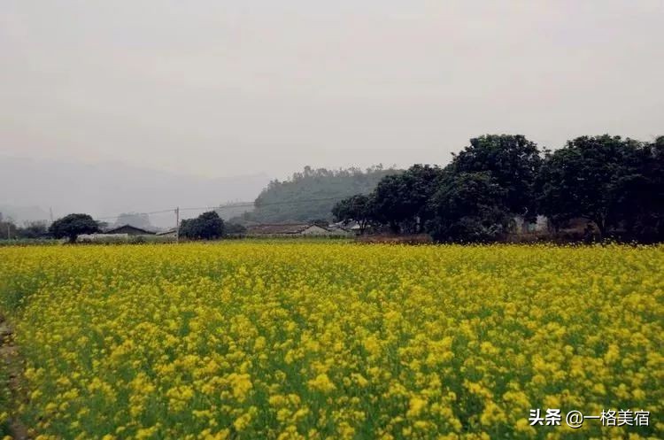 厦门五日游必去十大景点有哪些,厦门一日游必去的五个景点