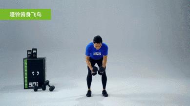 如何解决手臂肥胖,大臂肥胖怎么减