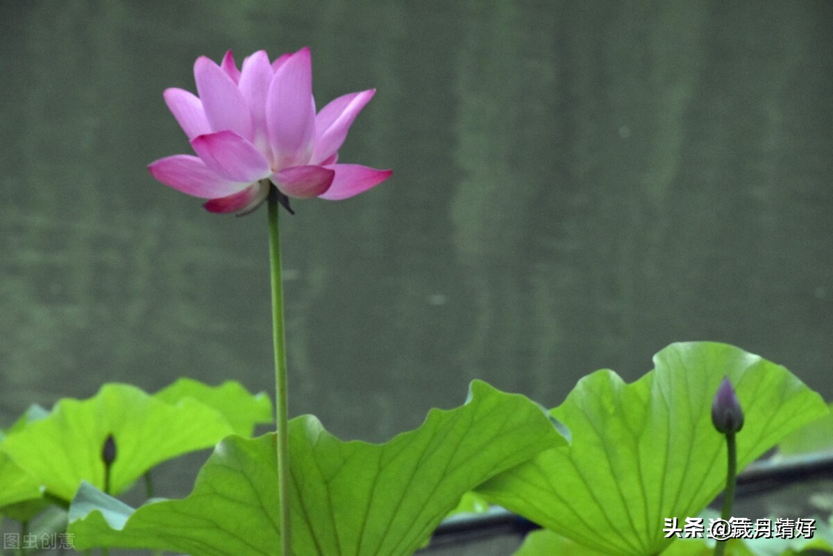 令人惊叹的维密天使,史上最经典维密天使