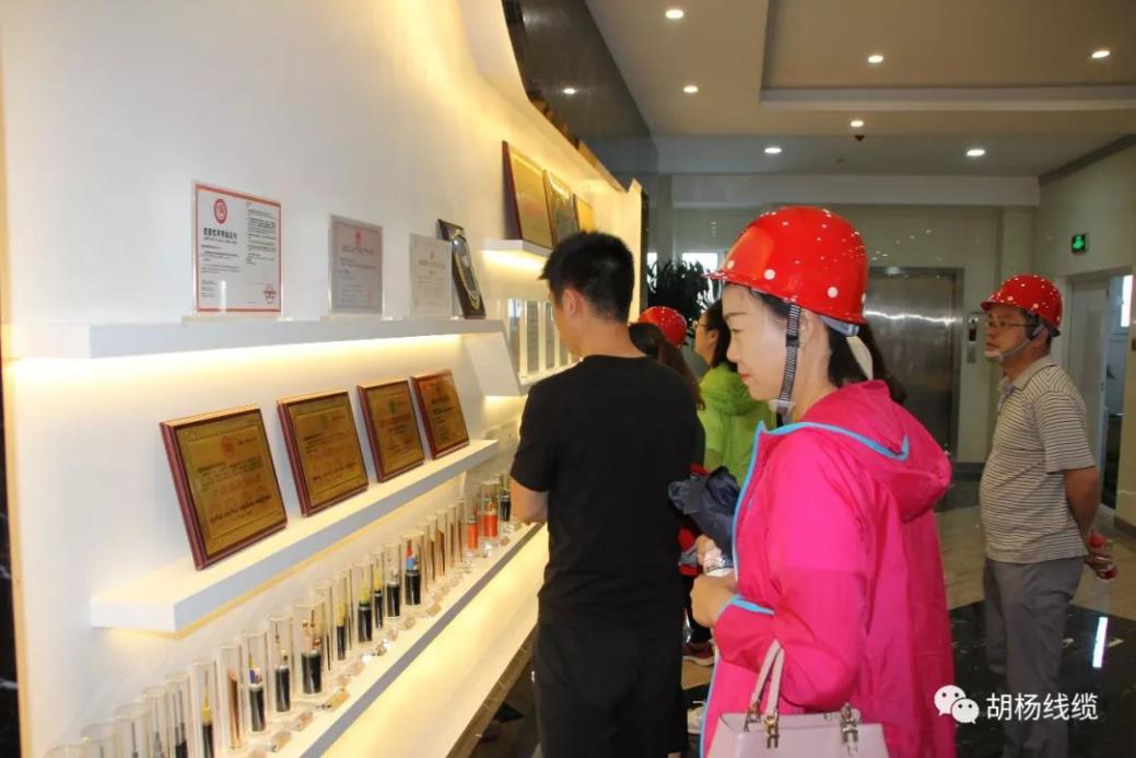 欢迎*疆新**自治区市场监督管理局领导莅临胡杨线缆公司交流学习