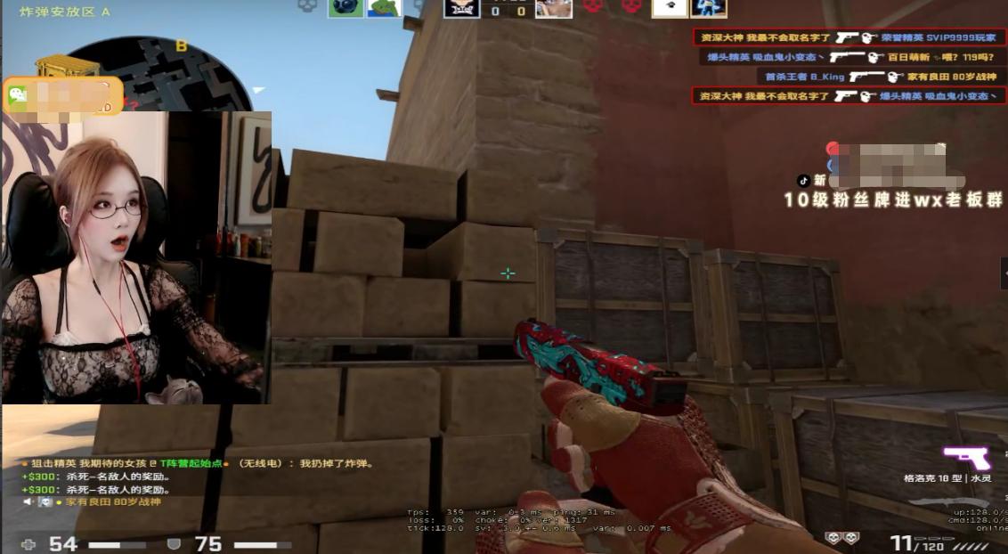 csgo女主播最美图片,csgo漂亮的女探员