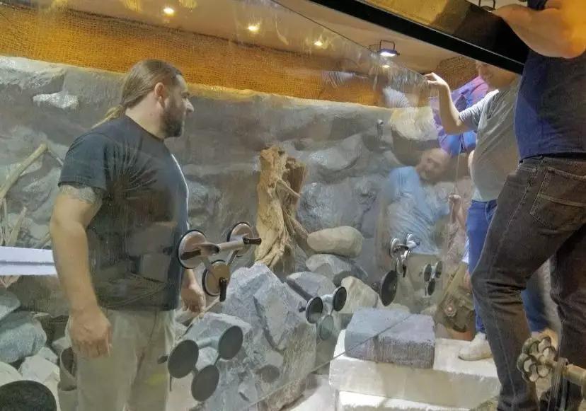 自己做大型水陆缸,在家自己打造一个沙漠缸