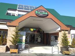 沿“线”旅行 | 富士山下遛娃好去处，好吃好玩儿还不贵