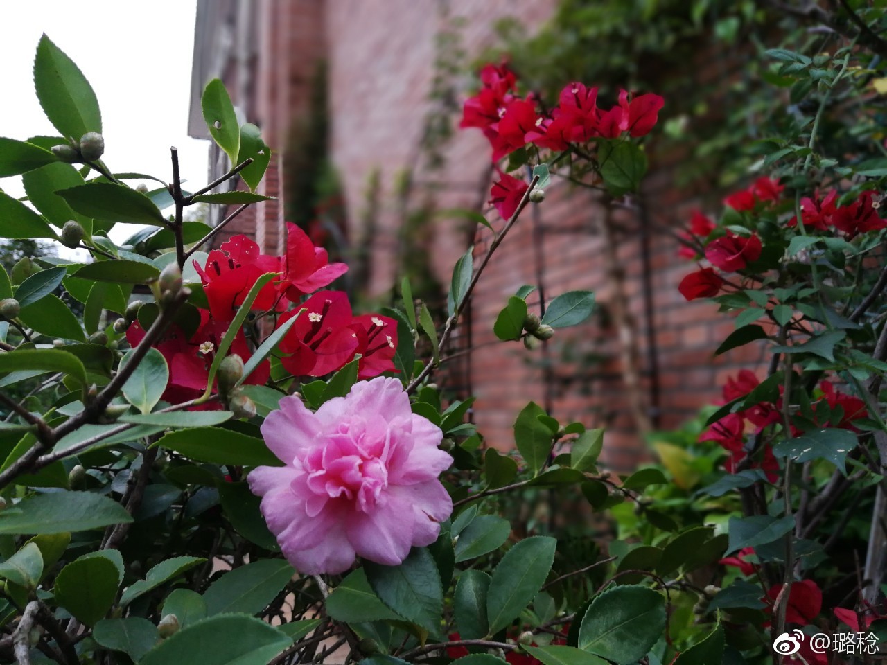 江西景德镇陶溪川陶瓷文化创意园,景德镇陶溪川文创街区夜景美篇