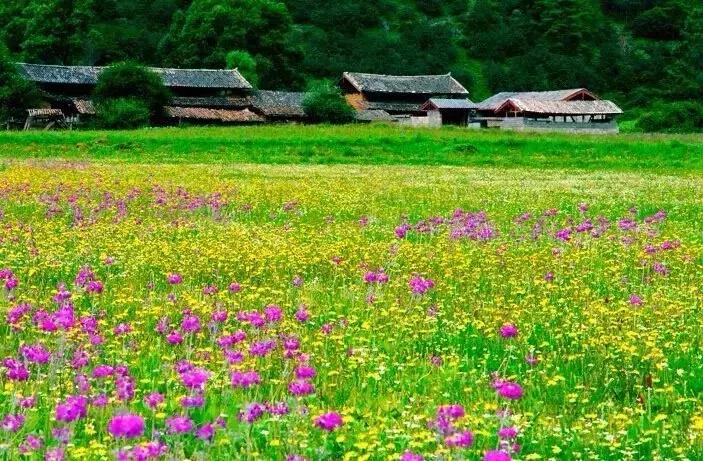 比雪山古城更诗意的是丽江的生活日常，只去一次怎么够