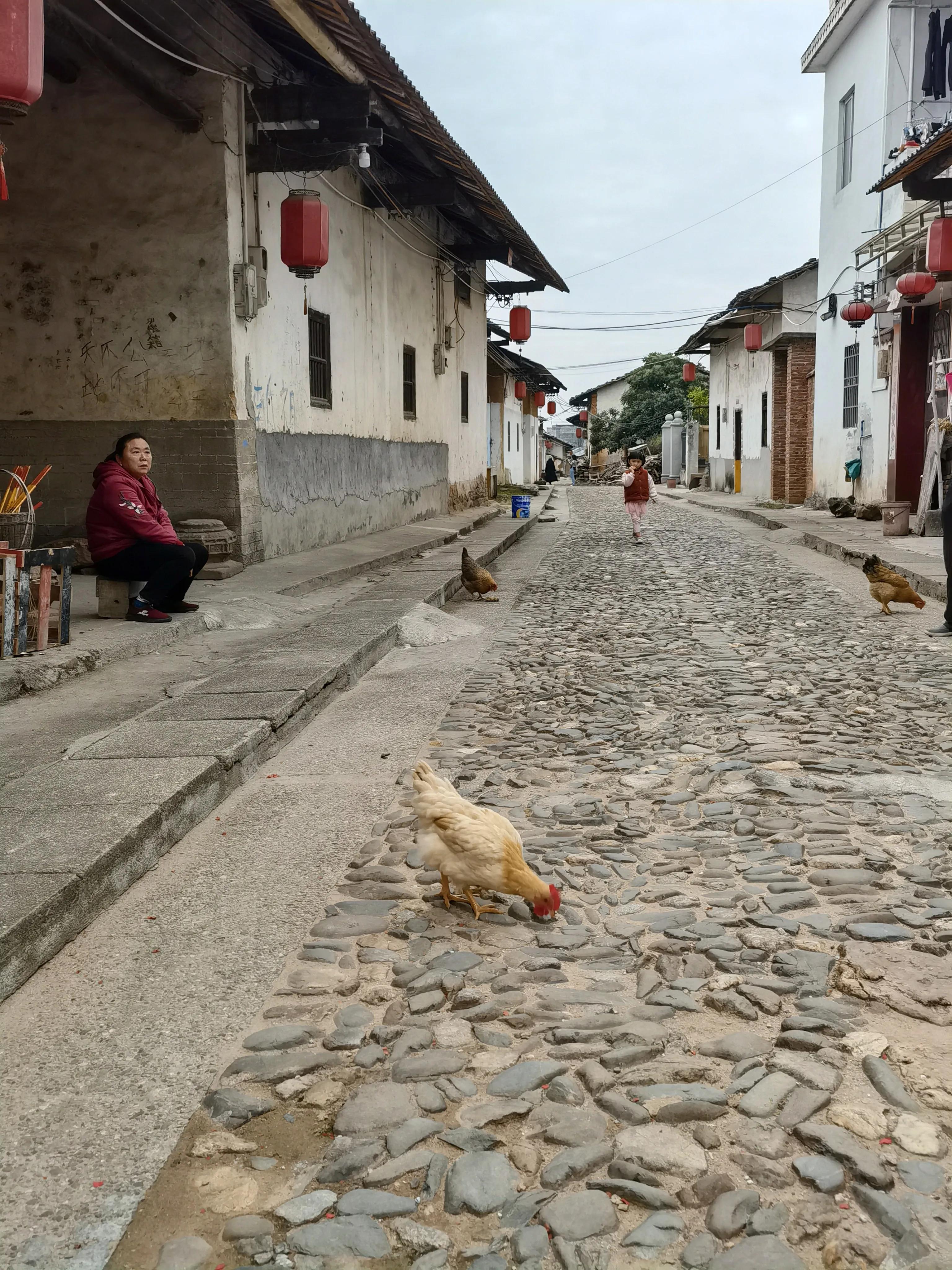 珠玑古巷历史简介,名副其实诗句