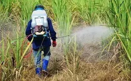 十种常见除草剂建议收藏介绍,除草剂讲解大全看完你就是专家