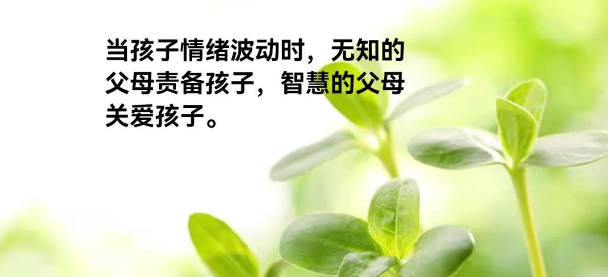 犹太人家庭教育成功秘密,犹太人的教育方法和技巧