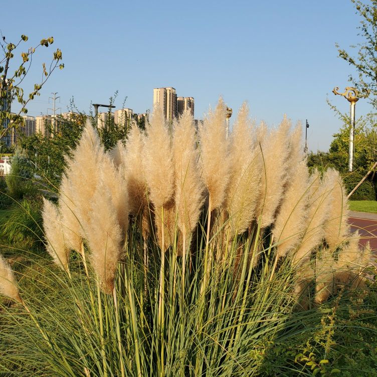 老憨妞视频,老憨妞的所有视频