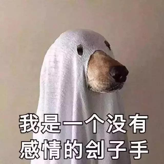 章泽天出席活动发言,章泽天26字发文