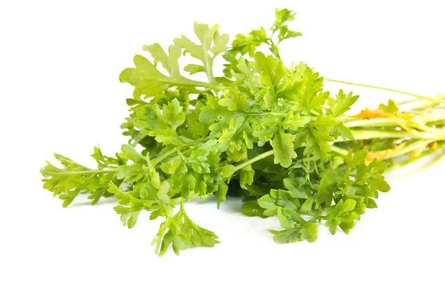 春日小野菜*戏调**指南