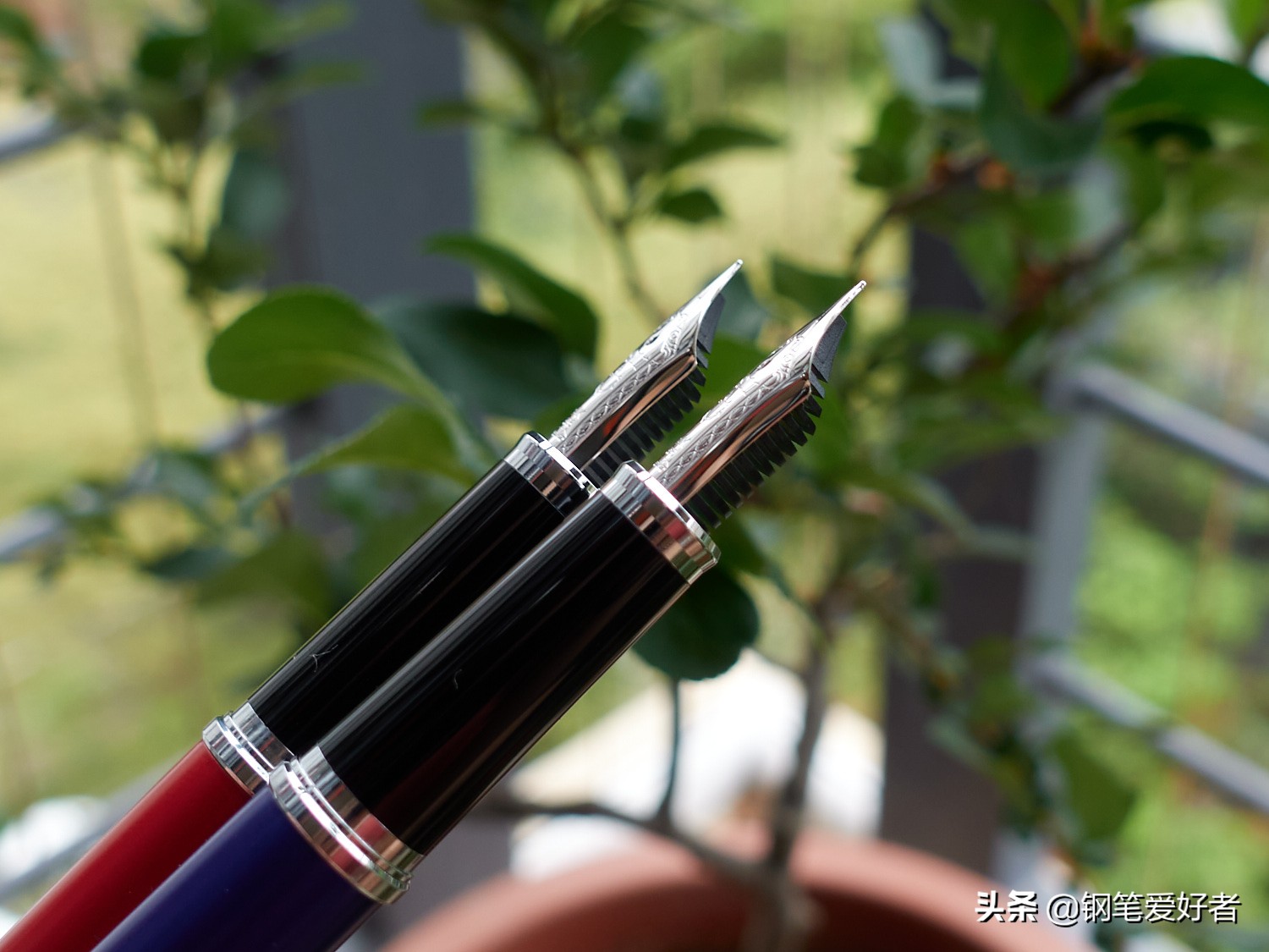 写乐钢笔14k粗细,写乐钢笔14k笔尖值多少钱