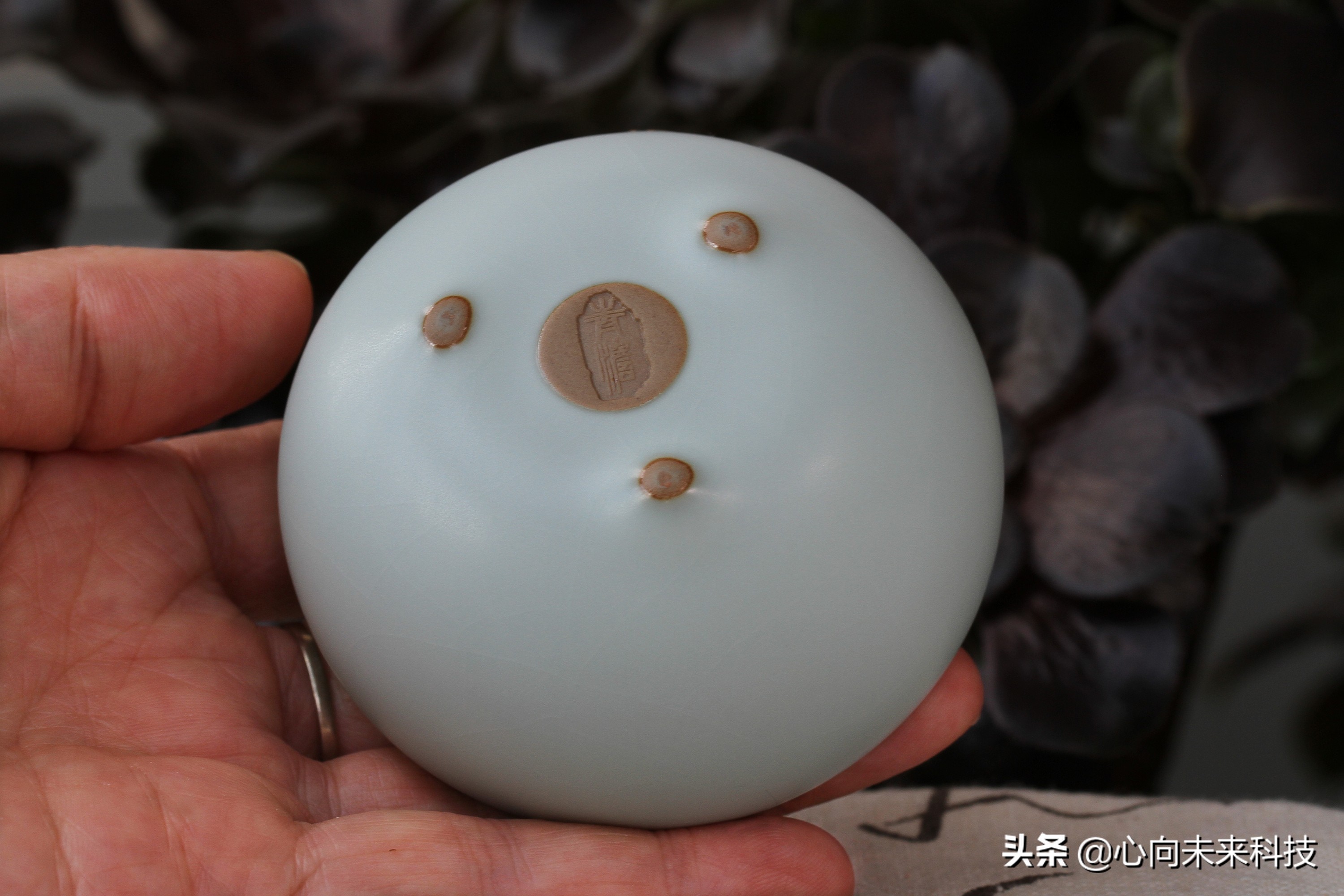 汝瓷新手入坑,汝瓷个人喝茶最实用的茶具