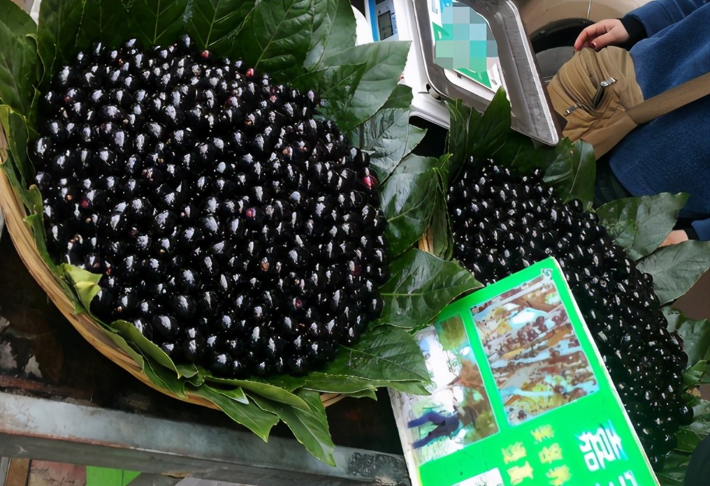 5年前百元一斤的土豪果,30几元一斤的土豪果