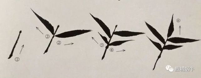 竹叶的画法模板,竹叶的钢笔画法