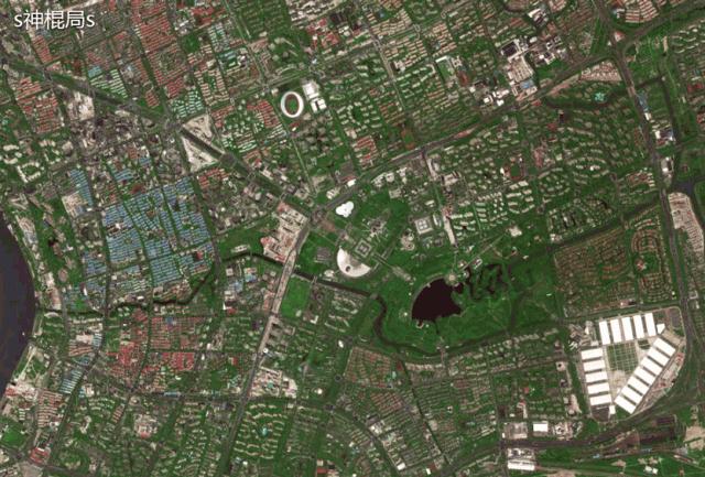 上海陆家嘴风水之争2007,上海国金中心风水讲究