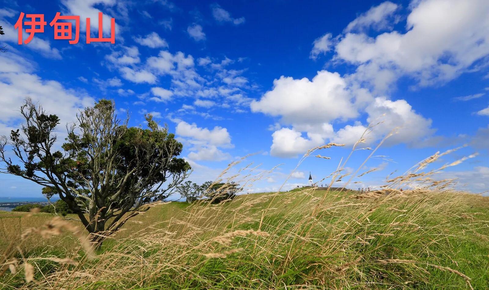 你知道吗人民币的主要成分,你知道吗你就是我的意外