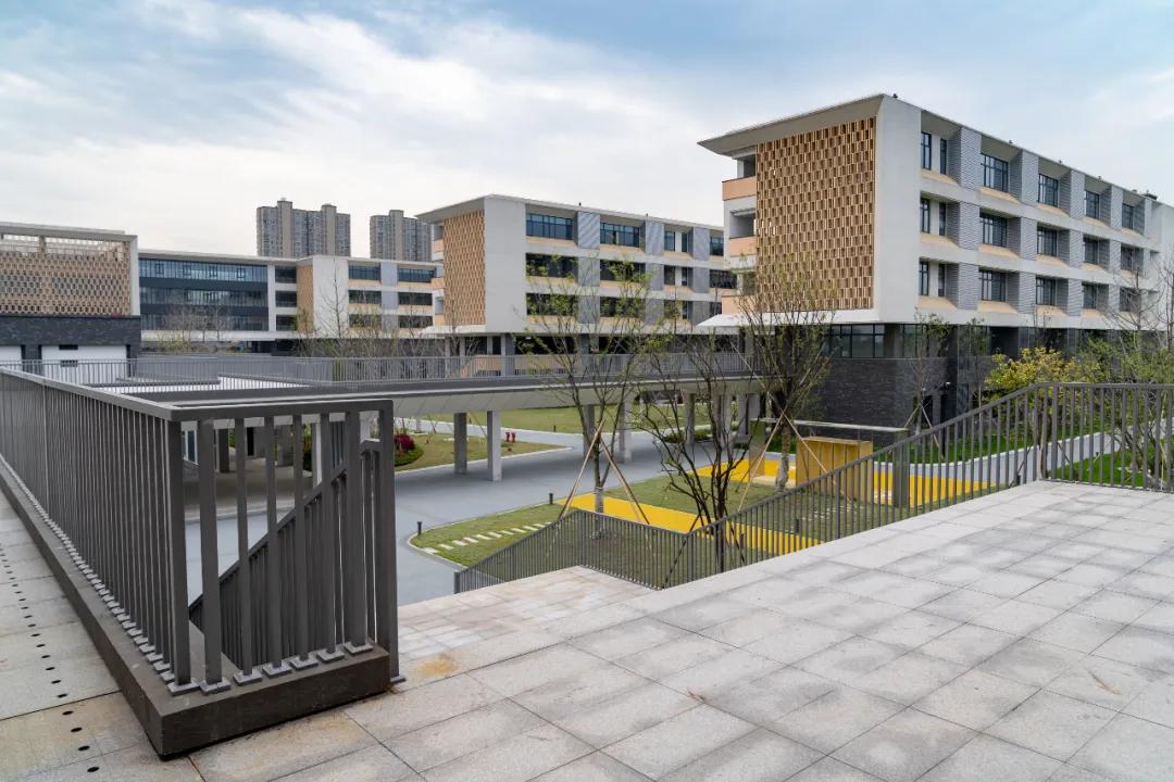 余杭新规划的学校,美翻了的校园