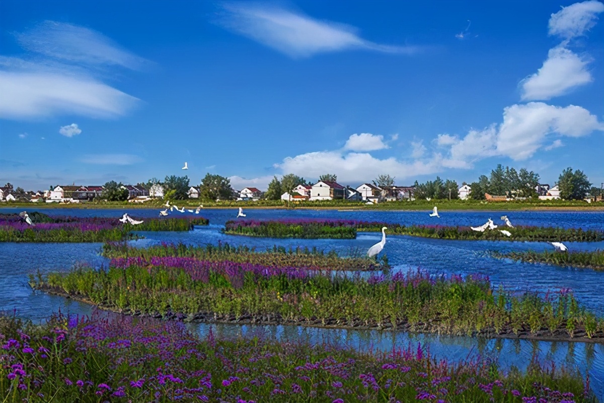 长三角城市群最佳旅游线路,长三角示范区旅游详细攻略