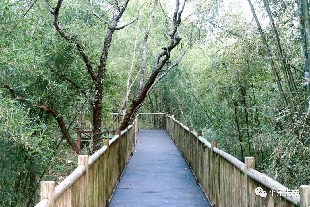 美女游玩桂林漓江,美女去桂林旅游风景太美了