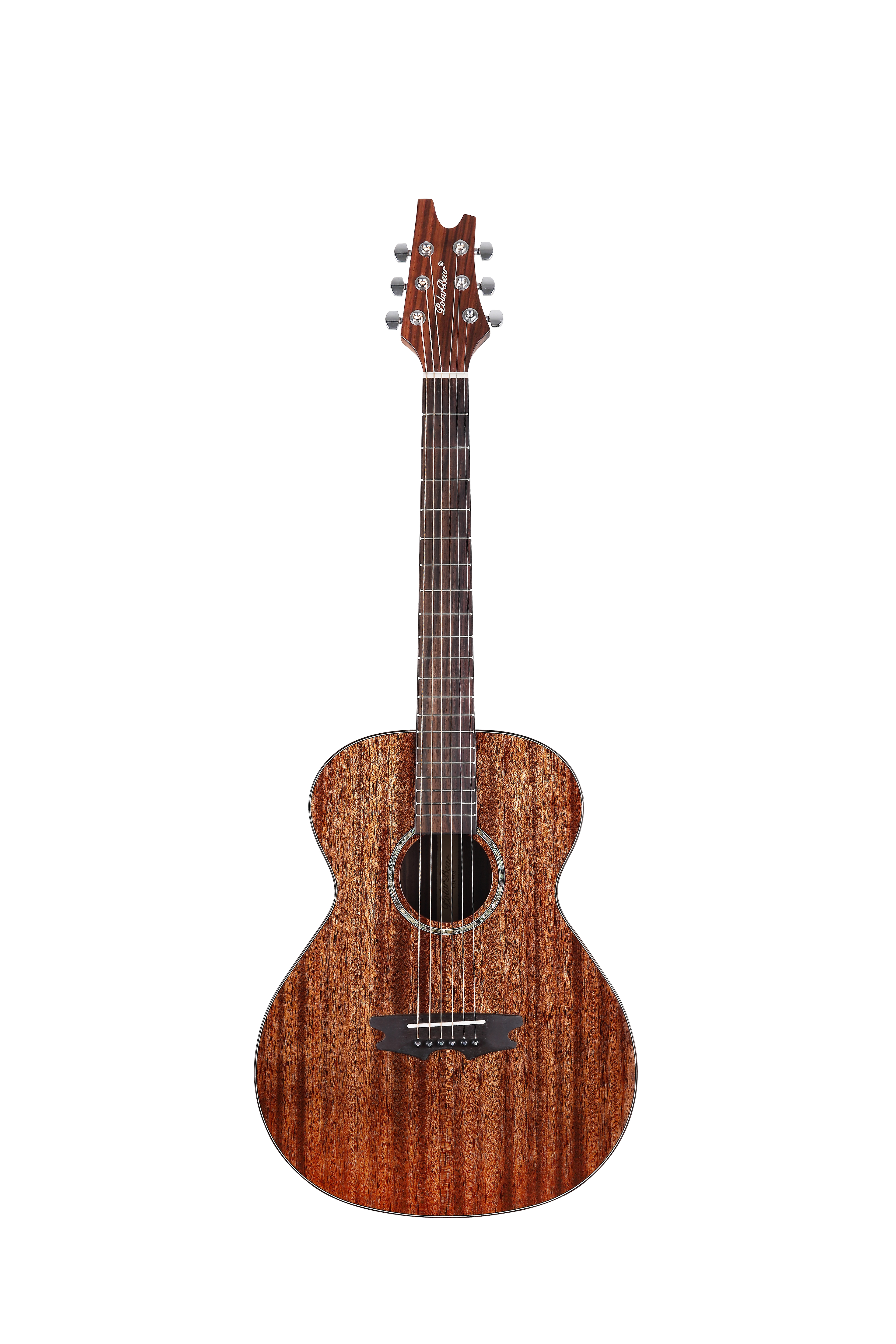 肥肥鱼吉他教程,快速入门吉他教学大章鱼