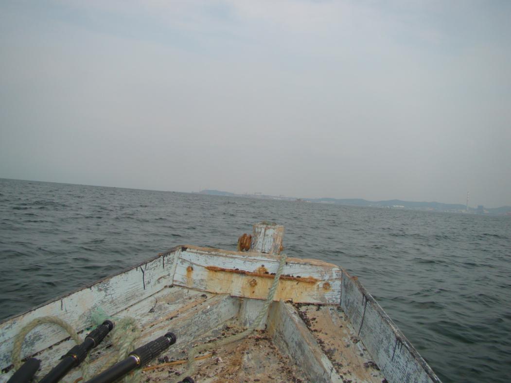 顾厂长盘点,顾厂长所有视频