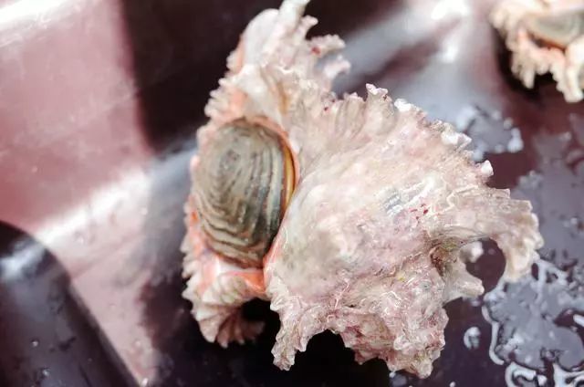 普吉岛值得吃的美食,普吉岛美食推荐最新