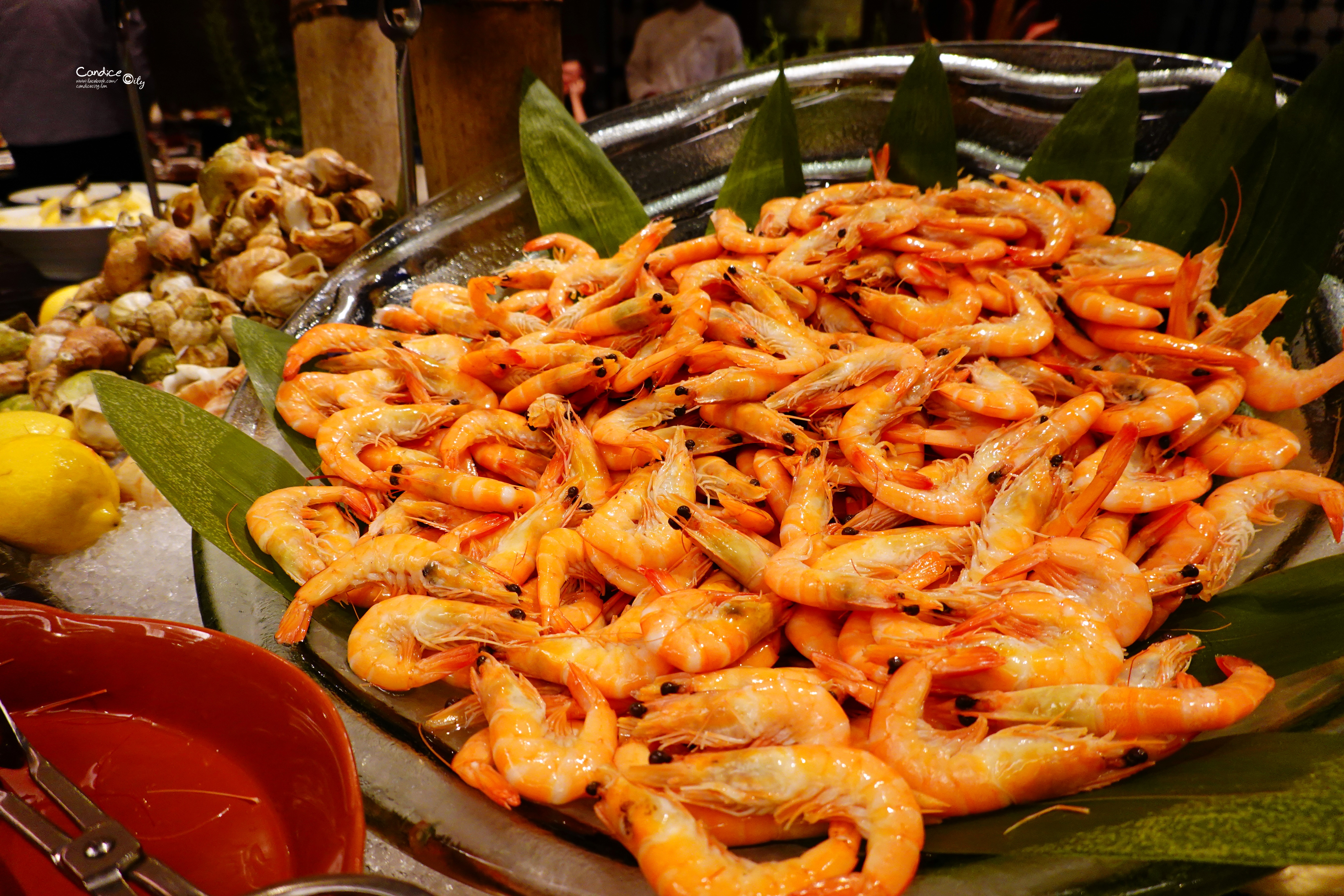 澳门早午餐自助餐推荐攻略,澳门自助餐性价比最高的地方