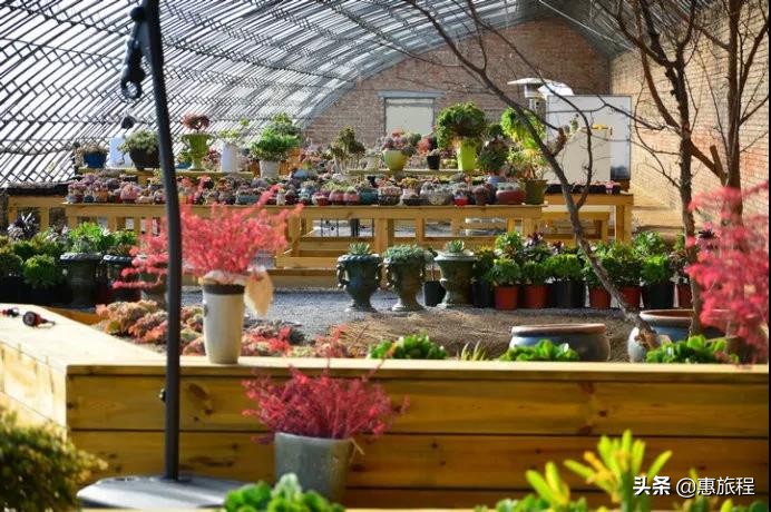 北京朝阳蓝调庄园温泉门票团购,蓝调庄园温泉298元