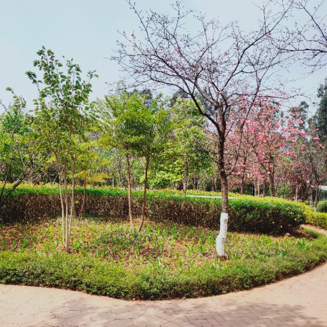 今天来户外美食风景，开箱一个快递*级A**别的快递，看看是什么