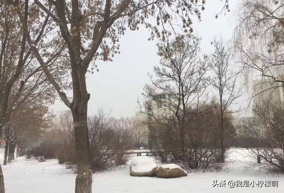 沈阳化工大学-是一所综合性大学化工为主