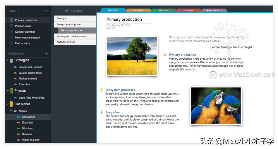 outlineformac安卓,outlinemac版
